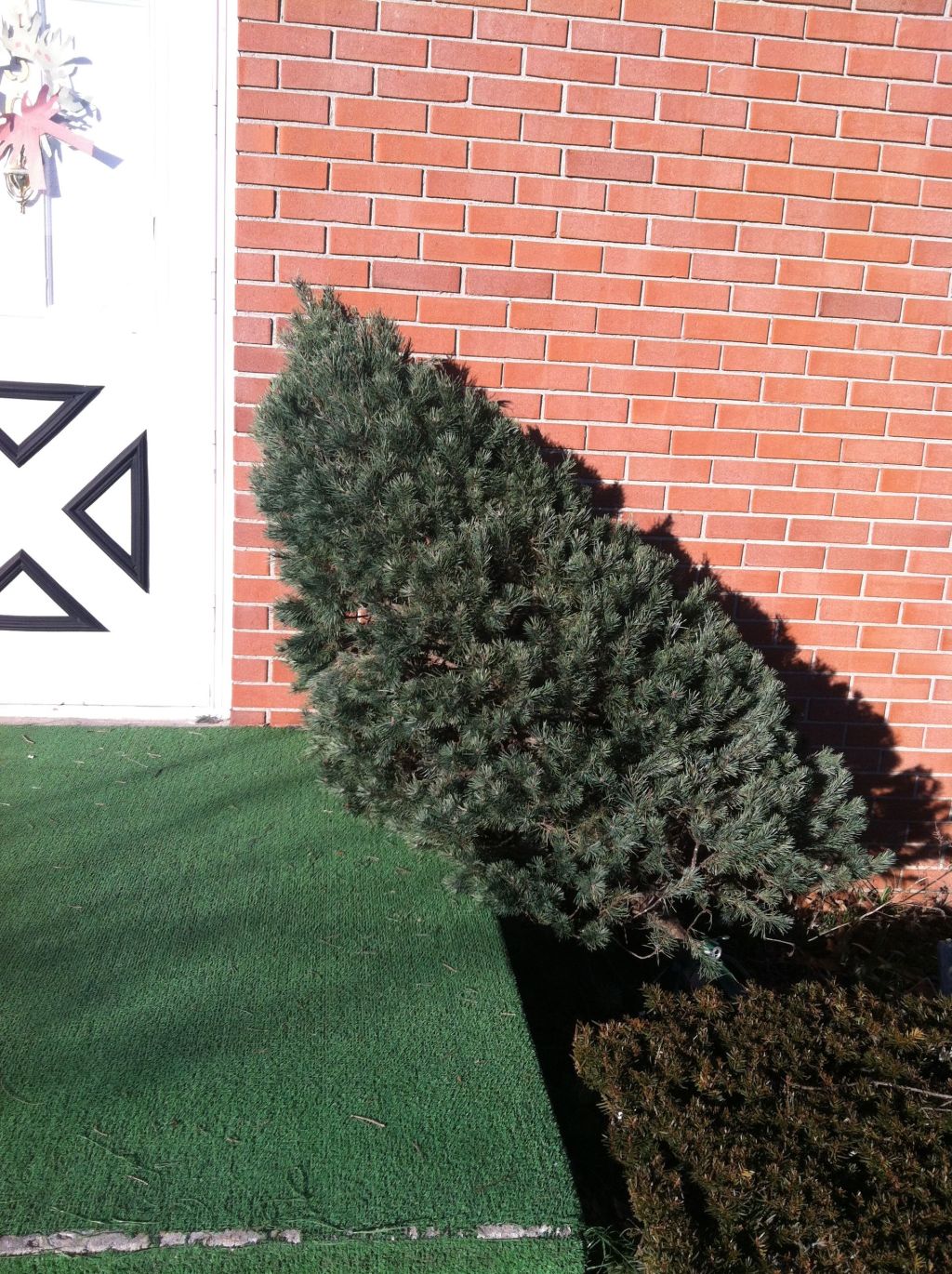 The Unbearable Banality of Knock-Knock&nbsp;Jokes