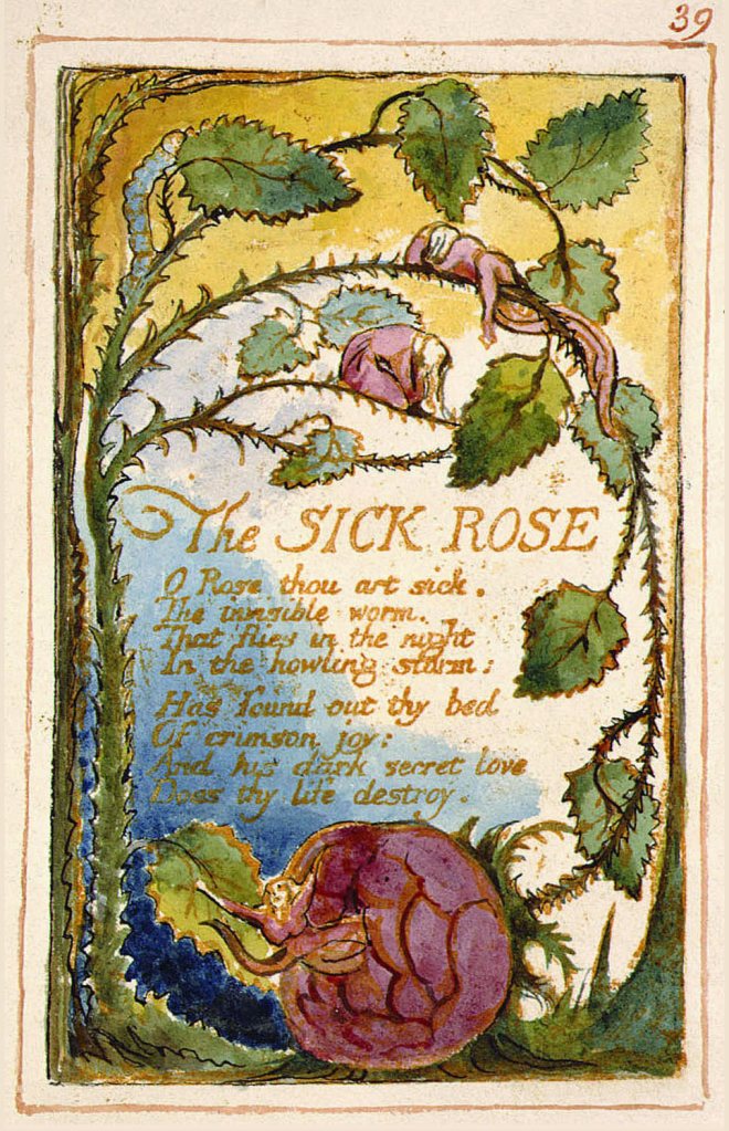 Original of William Blake's "The Sick Rose."