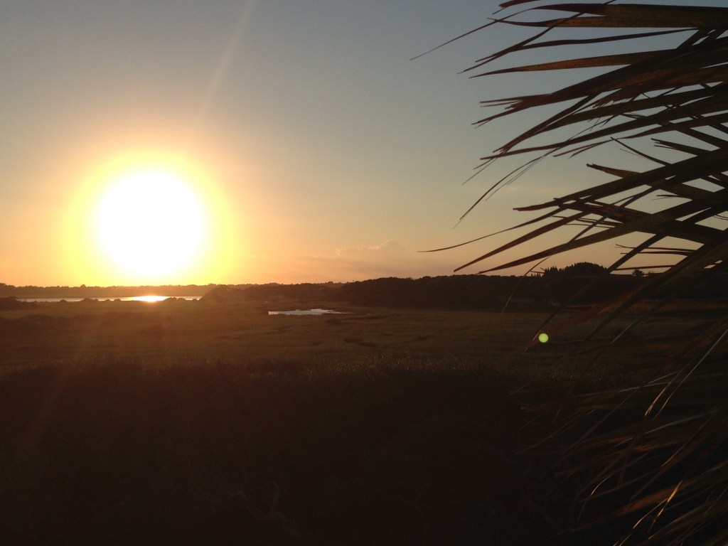 A Taxonomy of&nbsp;Feedback…