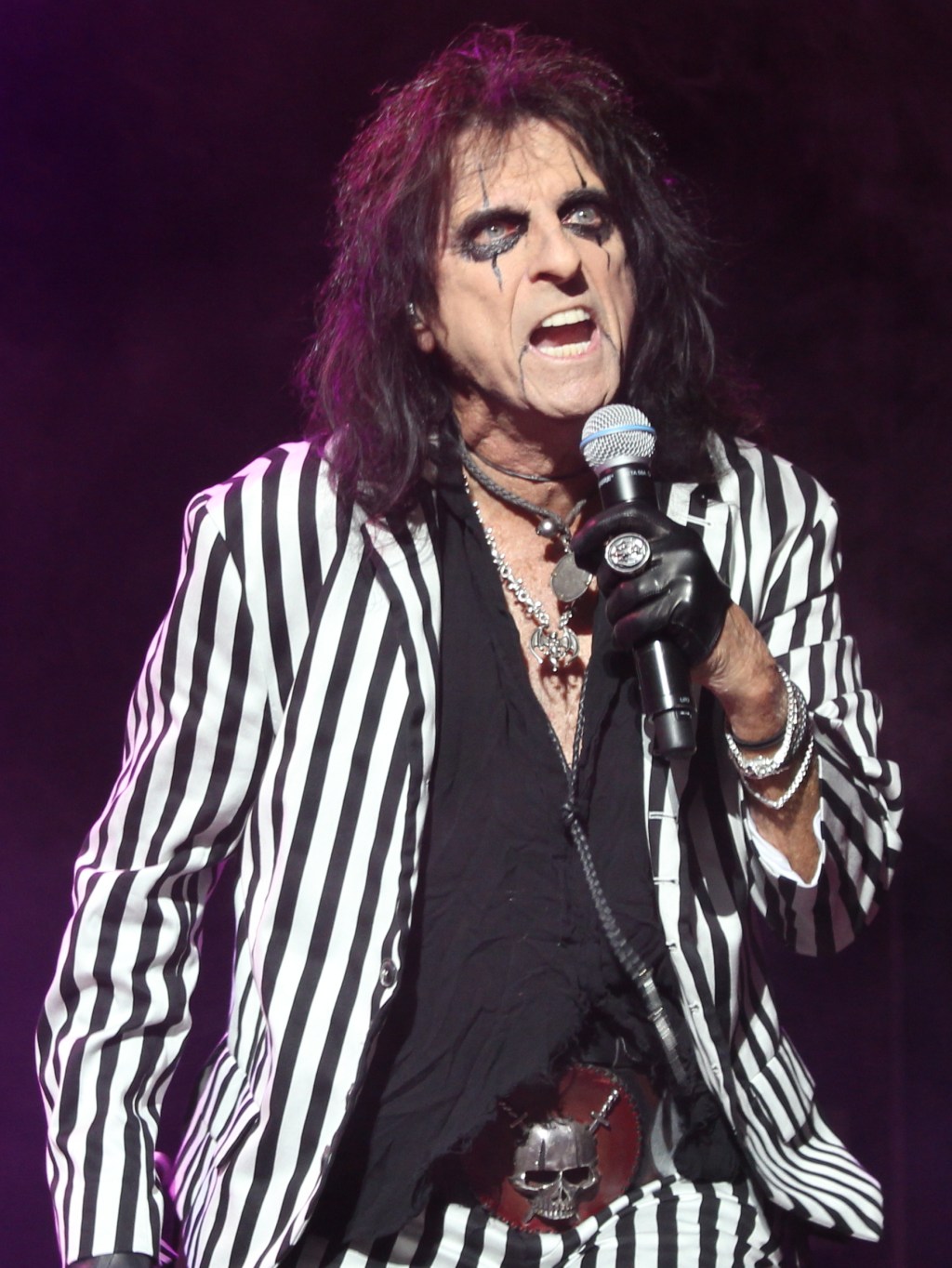 Alice Cooper: An&nbsp;Overview