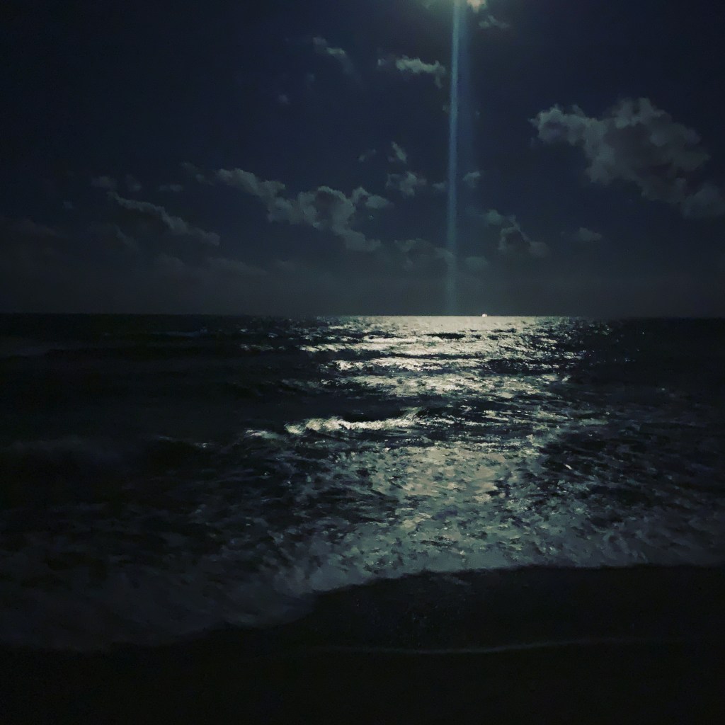 Phosphorus and Fire&nbsp;Lily